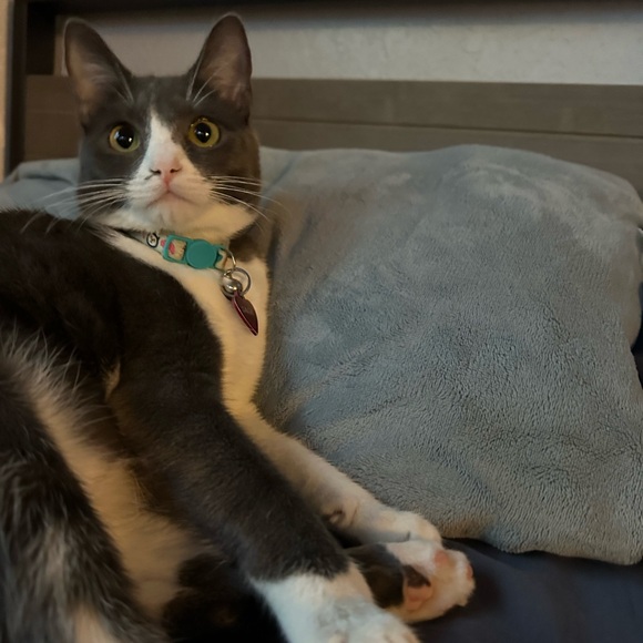 hiiiiii - Picture 3 of 4